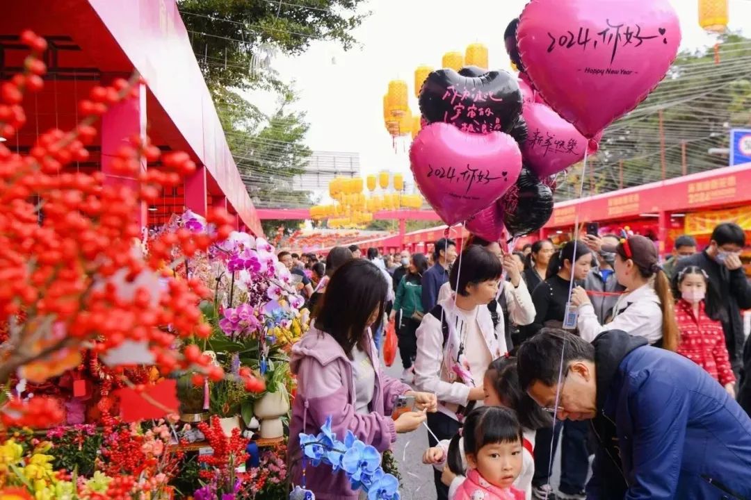 深圳最大花卉市场图片