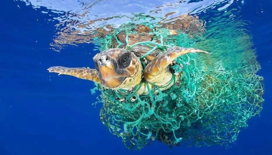 塑战速决从我做起禁塑宣传小知识