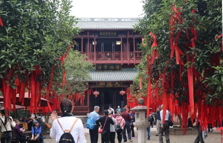 武夷山旅游攻略，只此一篇就够了！