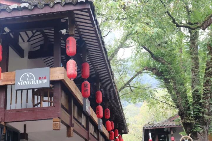 武夷山旅游攻略，只此一篇就够了！