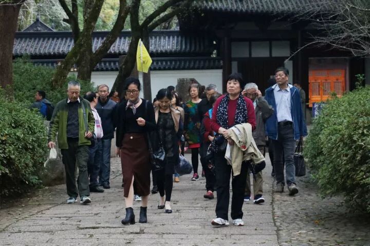 武夷山旅游攻略，只此一篇就够了！