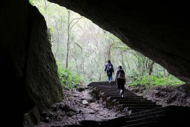 武夷山旅游攻略，只此一篇就够了！