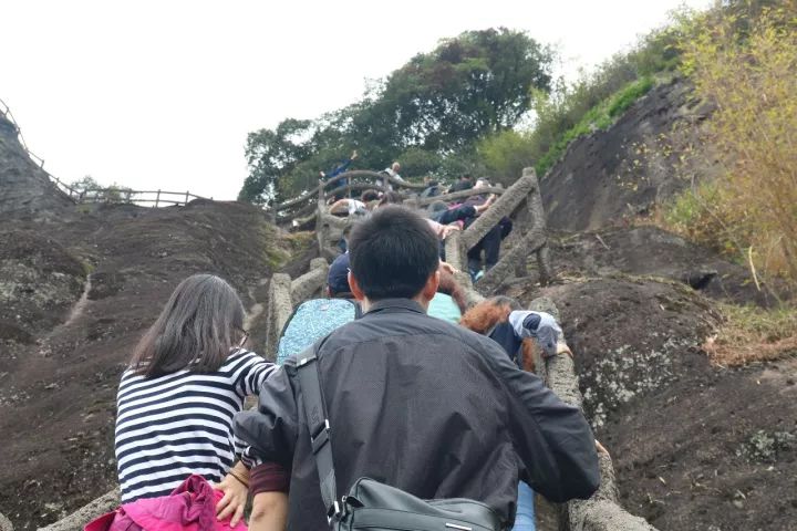 武夷山旅游攻略，只此一篇就够了！