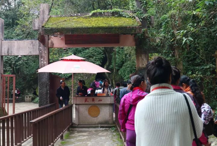 武夷山旅游攻略，只此一篇就够了！