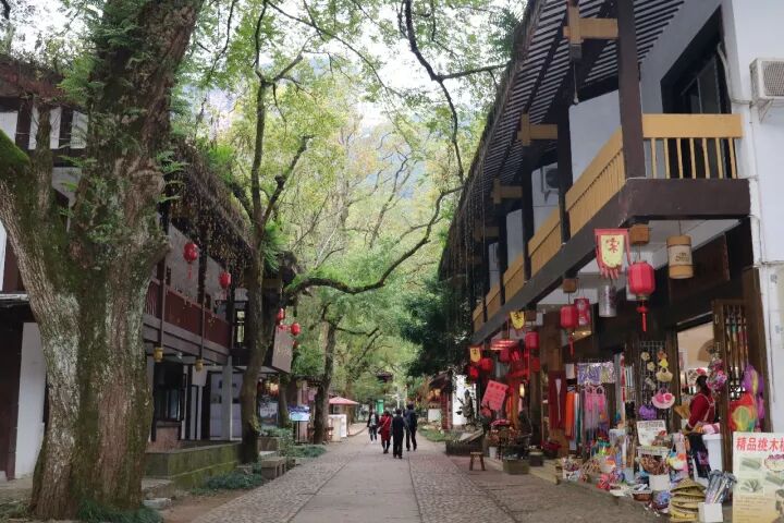 武夷山旅游攻略，只此一篇就够了！