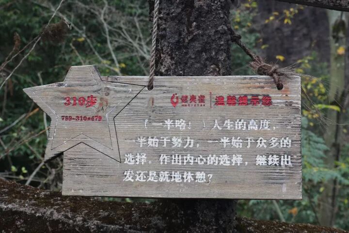 武夷山旅游攻略，只此一篇就够了！