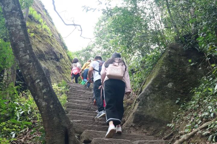 武夷山旅游攻略，只此一篇就够了！