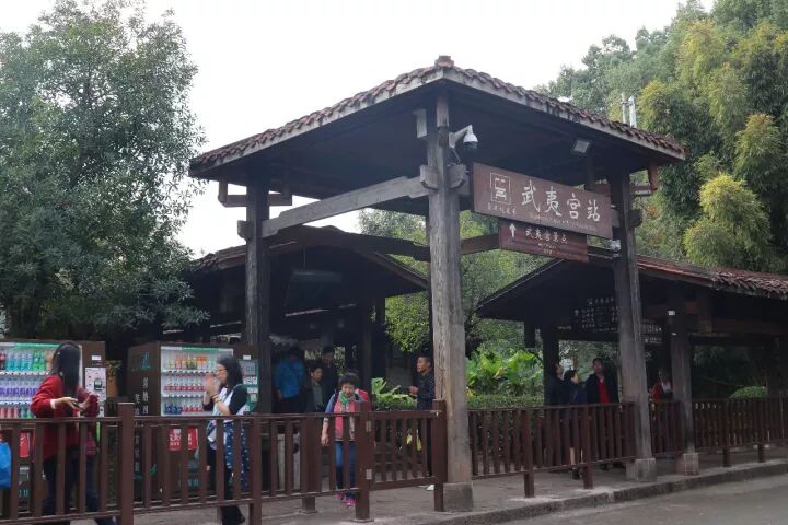 武夷山旅游攻略，只此一篇就够了！