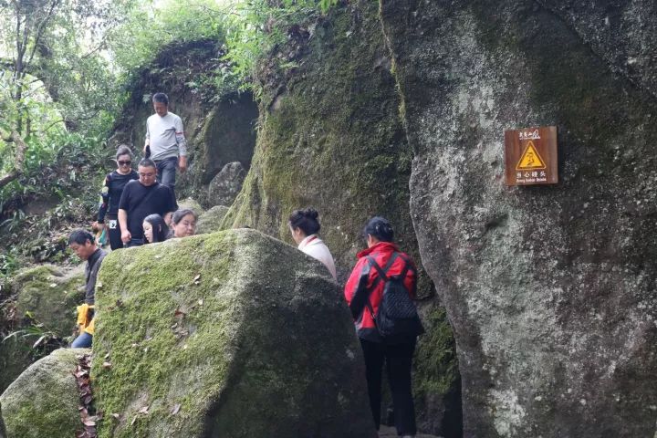 武夷山旅游攻略，只此一篇就够了！