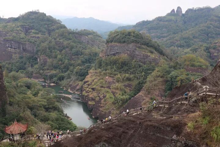 武夷山旅游攻略，只此一篇就够了！
