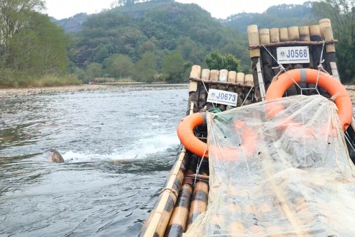 武夷山旅游攻略，只此一篇就够了！