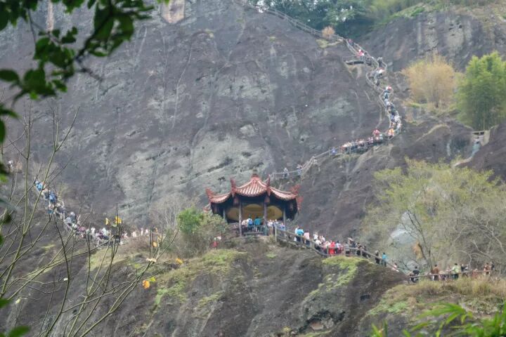 武夷山旅游攻略，只此一篇就够了！