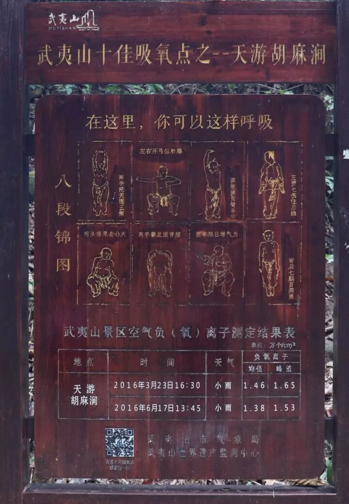 武夷山旅游攻略，只此一篇就够了！