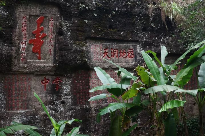 武夷山旅游攻略，只此一篇就够了！