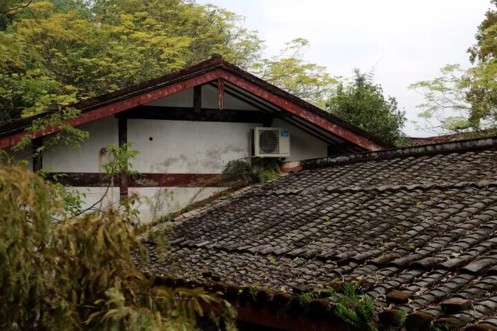 武夷山旅游攻略，只此一篇就够了！