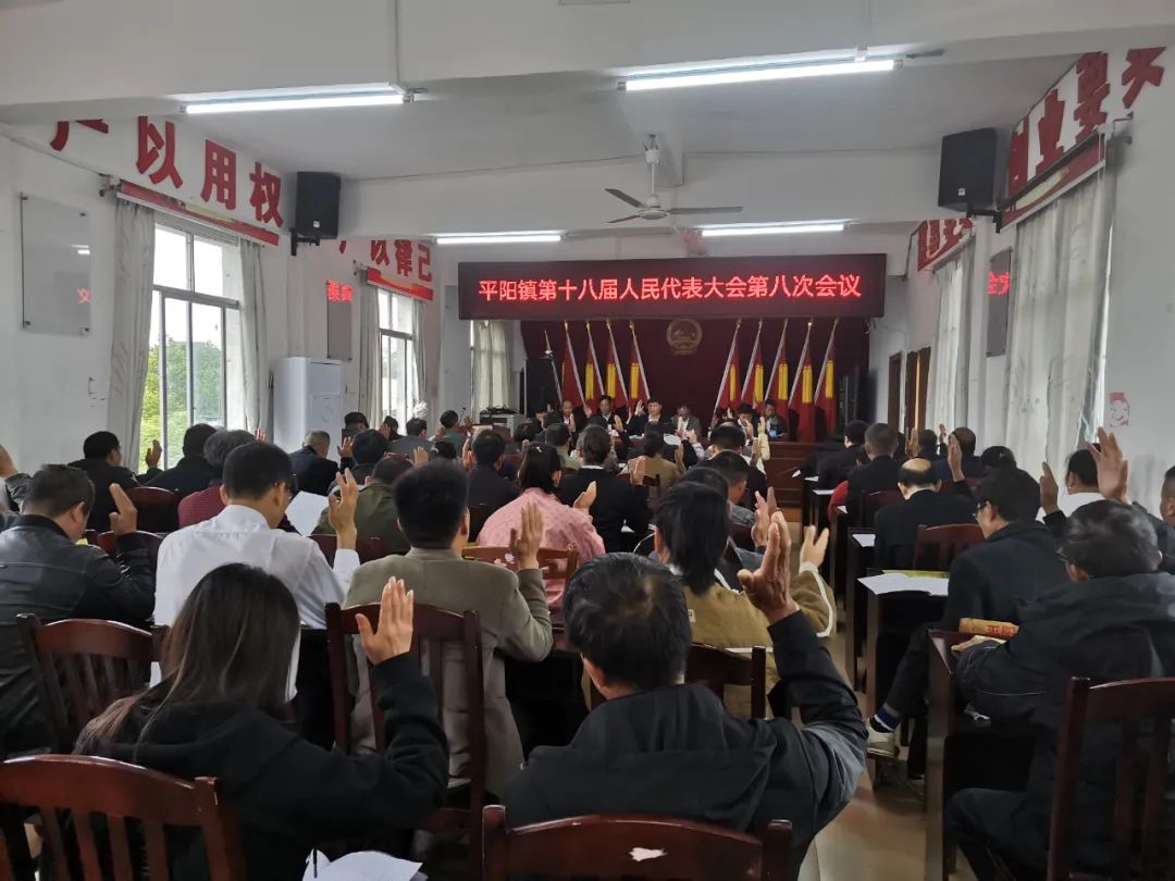平阳镇第十八届人民代表大会第八次会议胜利召开