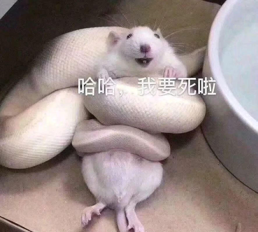 快关闭!Win10最可怕的快捷键,一按就暴露看过的片、上过的网 软件教程 第1张-盘仙人 快关闭!Win10最可怕的快捷键,一按就暴露看过的片、上过的网 软件教程 第1张