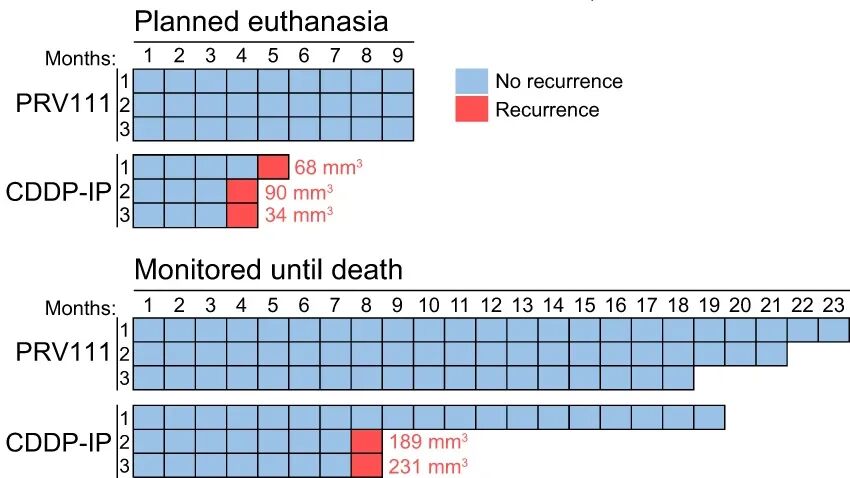 Nature Communications：  纳米工程化顺铂递送系统治疗口腔癌的临床研究