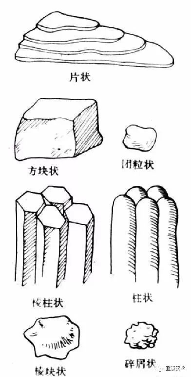 土壤的团粒结构图图片