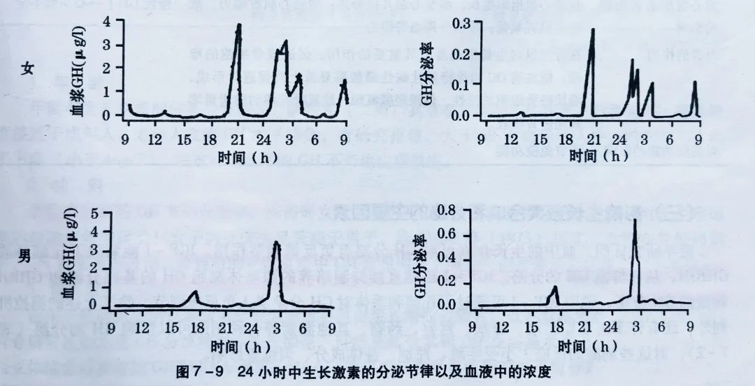 一千零一页 肌肉只在晚上才生长吗 全网搜