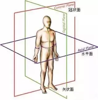 3 个方向判断骨盆是否正位？看完秒懂！