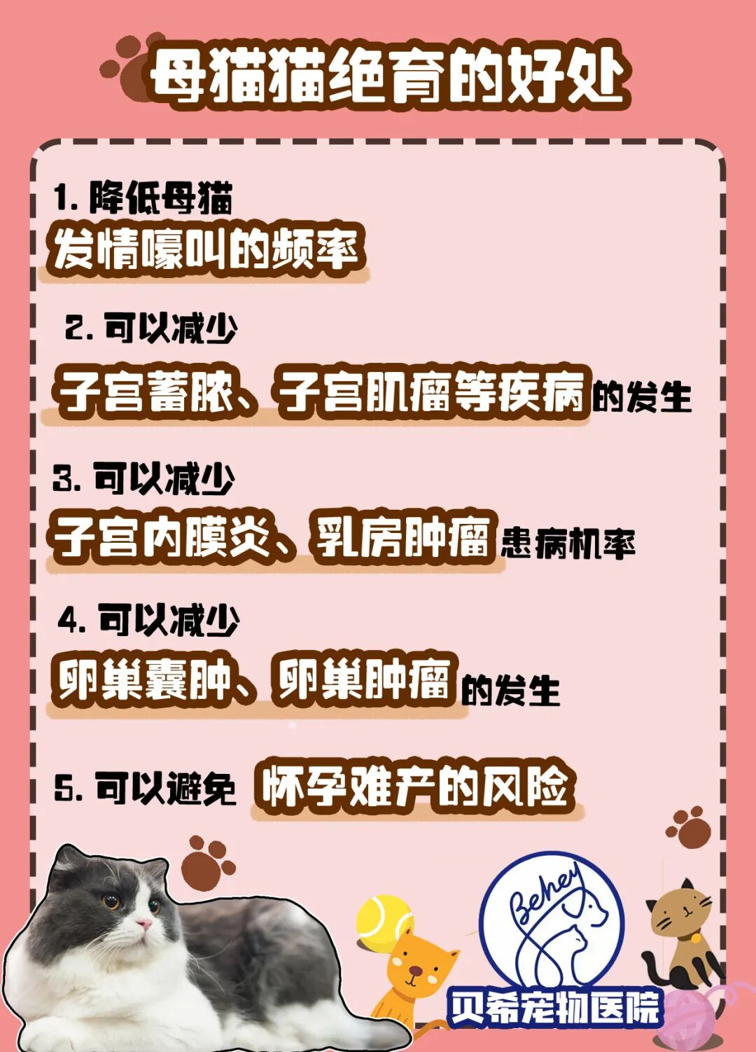 宠物呼吸麻醉怎么收费@宠爸宠妈，从绝育就做到极致…这家好评满满的de『五星级连锁宠物医院』来三水了！_https://www.jmylbn.com_新闻资讯_第35张