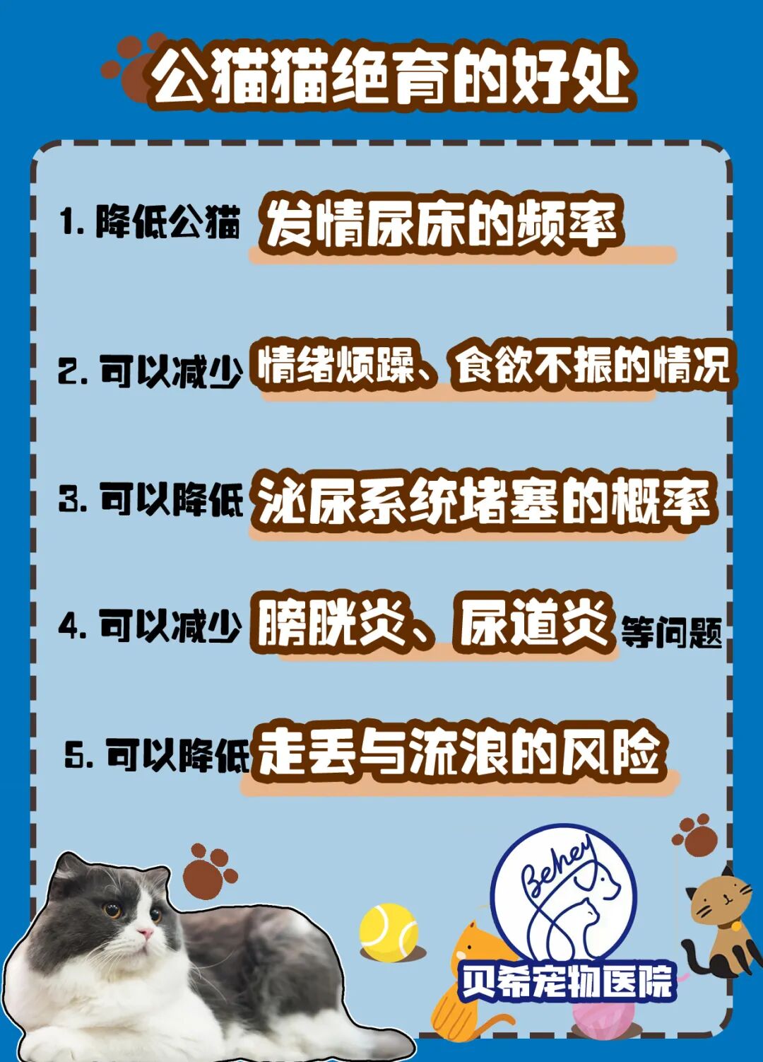 宠物呼吸麻醉怎么收费@宠爸宠妈，从绝育就做到极致…这家好评满满的de『五星级连锁宠物医院』来三水了！_https://www.jmylbn.com_新闻资讯_第34张