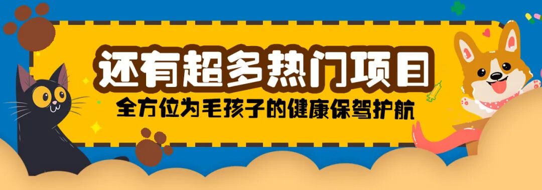 宠物呼吸麻醉怎么收费@宠爸宠妈，从绝育就做到极致…这家好评满满的de『五星级连锁宠物医院』来三水了！_https://www.jmylbn.com_新闻资讯_第47张