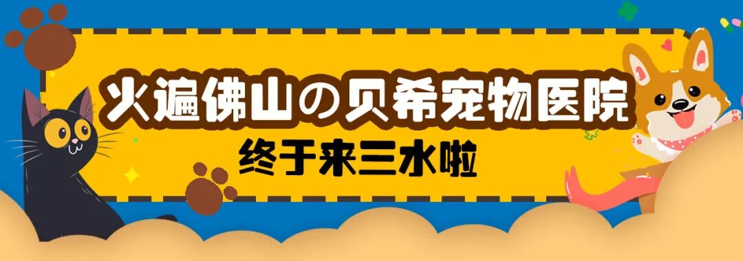 宠物呼吸麻醉怎么收费@宠爸宠妈，从绝育就做到极致…这家好评满满的de『五星级连锁宠物医院』来三水了！_https://www.jmylbn.com_新闻资讯_第16张