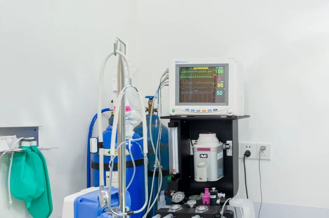 宠物呼吸麻醉怎么收费@宠爸宠妈，从绝育就做到极致…这家好评满满的de『五星级连锁宠物医院』来三水了！_https://www.jmylbn.com_新闻资讯_第39张