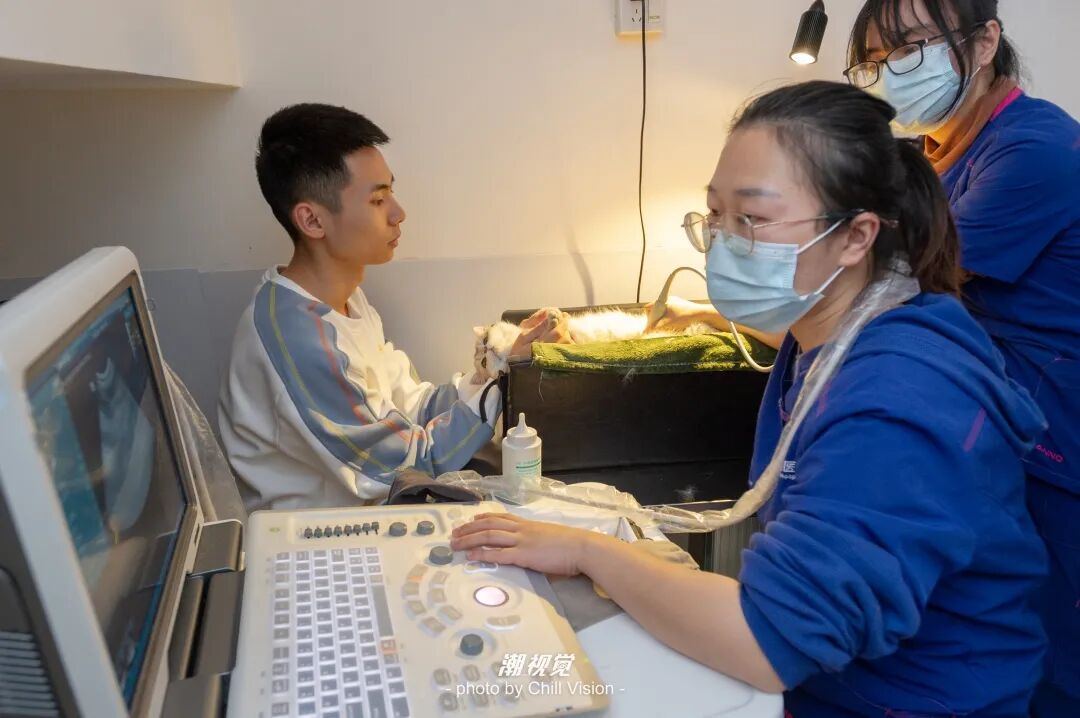 宠物呼吸麻醉怎么收费@宠爸宠妈，从绝育就做到极致…这家好评满满的de『五星级连锁宠物医院』来三水了！_https://www.jmylbn.com_新闻资讯_第27张
