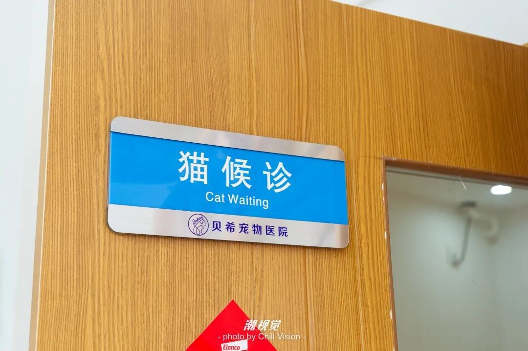 宠物呼吸麻醉怎么收费@宠爸宠妈，从绝育就做到极致…这家好评满满的de『五星级连锁宠物医院』来三水了！_https://www.jmylbn.com_新闻资讯_第56张