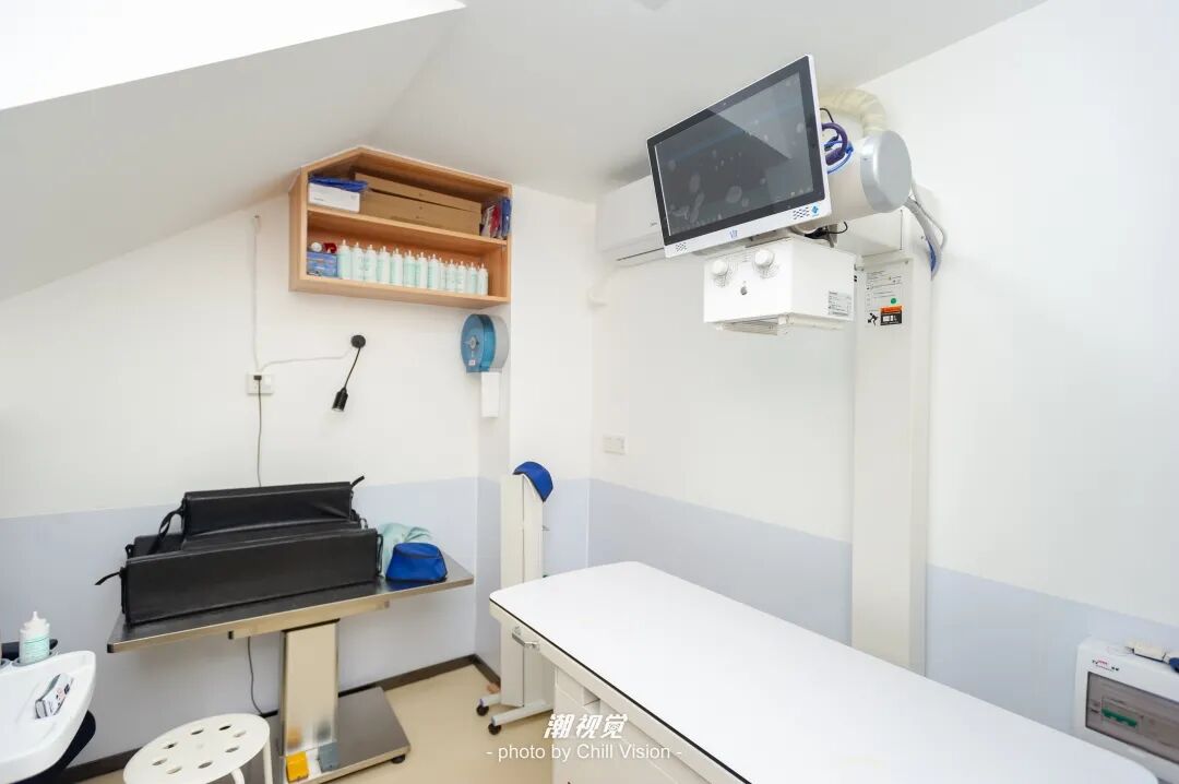 宠物呼吸麻醉怎么收费@宠爸宠妈，从绝育就做到极致…这家好评满满的de『五星级连锁宠物医院』来三水了！_https://www.jmylbn.com_新闻资讯_第24张