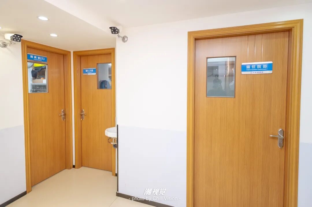 宠物呼吸麻醉怎么收费@宠爸宠妈，从绝育就做到极致…这家好评满满的de『五星级连锁宠物医院』来三水了！_https://www.jmylbn.com_新闻资讯_第57张