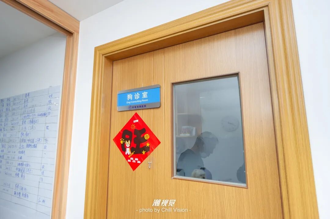 宠物呼吸麻醉怎么收费@宠爸宠妈，从绝育就做到极致…这家好评满满的de『五星级连锁宠物医院』来三水了！_https://www.jmylbn.com_新闻资讯_第59张