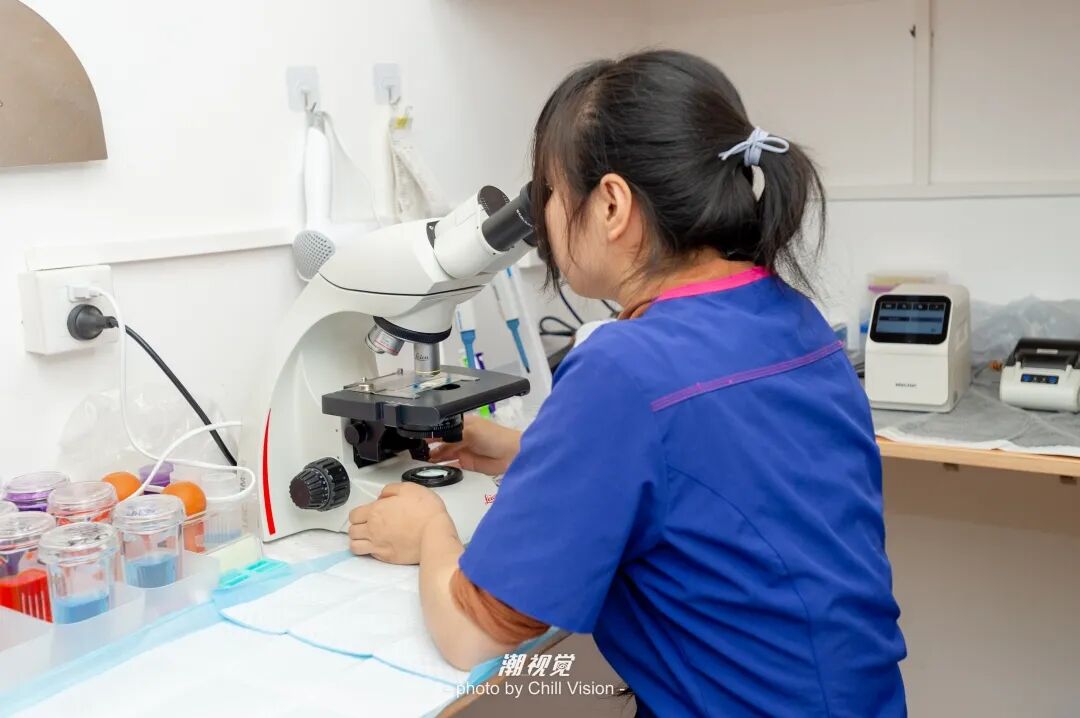 宠物呼吸麻醉怎么收费@宠爸宠妈，从绝育就做到极致…这家好评满满的de『五星级连锁宠物医院』来三水了！_https://www.jmylbn.com_新闻资讯_第25张