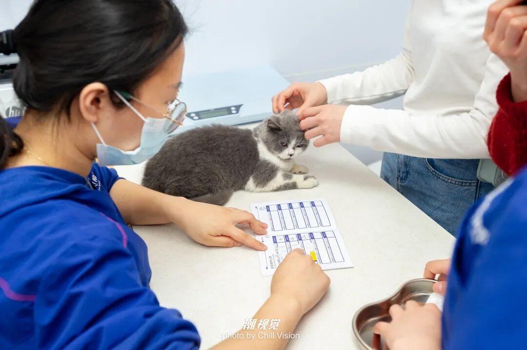 宠物呼吸麻醉怎么收费@宠爸宠妈，从绝育就做到极致…这家好评满满的de『五星级连锁宠物医院』来三水了！_https://www.jmylbn.com_新闻资讯_第49张