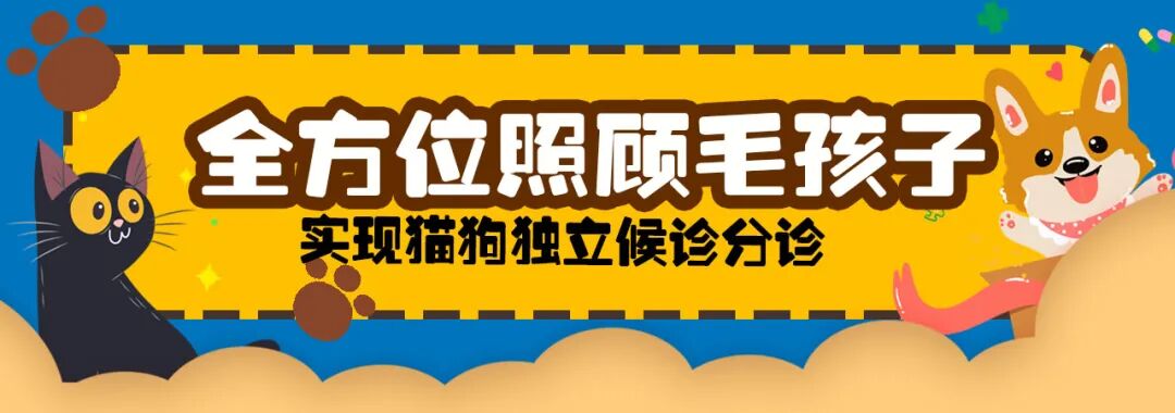 宠物呼吸麻醉怎么收费@宠爸宠妈，从绝育就做到极致…这家好评满满的de『五星级连锁宠物医院』来三水了！_https://www.jmylbn.com_新闻资讯_第54张