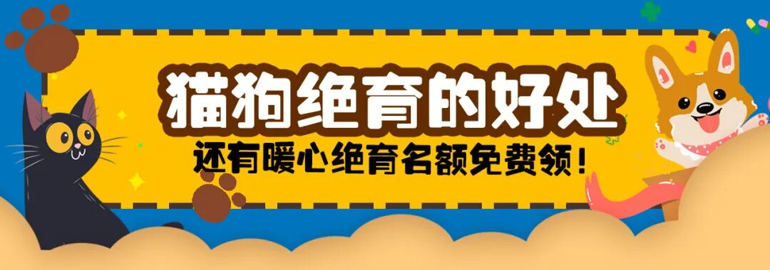 宠物呼吸麻醉怎么收费@宠爸宠妈，从绝育就做到极致…这家好评满满的de『五星级连锁宠物医院』来三水了！_https://www.jmylbn.com_新闻资讯_第31张
