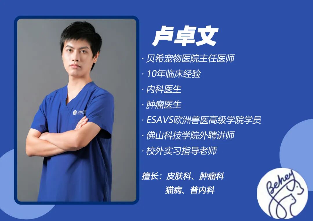 宠物呼吸麻醉怎么收费@宠爸宠妈，从绝育就做到极致…这家好评满满的de『五星级连锁宠物医院』来三水了！_https://www.jmylbn.com_新闻资讯_第21张