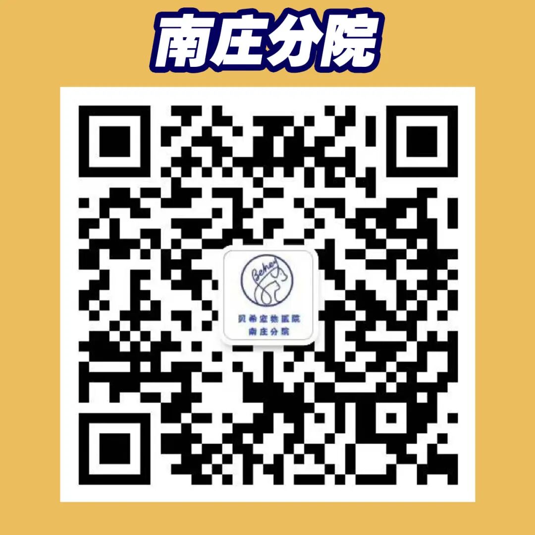 宠物呼吸麻醉怎么收费@宠爸宠妈，从绝育就做到极致…这家好评满满的de『五星级连锁宠物医院』来三水了！_https://www.jmylbn.com_新闻资讯_第15张