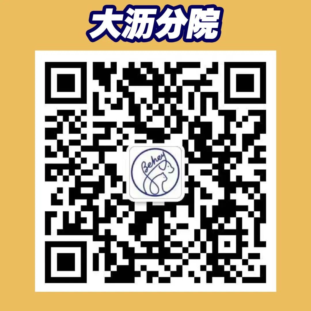 宠物呼吸麻醉怎么收费@宠爸宠妈，从绝育就做到极致…这家好评满满的de『五星级连锁宠物医院』来三水了！_https://www.jmylbn.com_新闻资讯_第13张