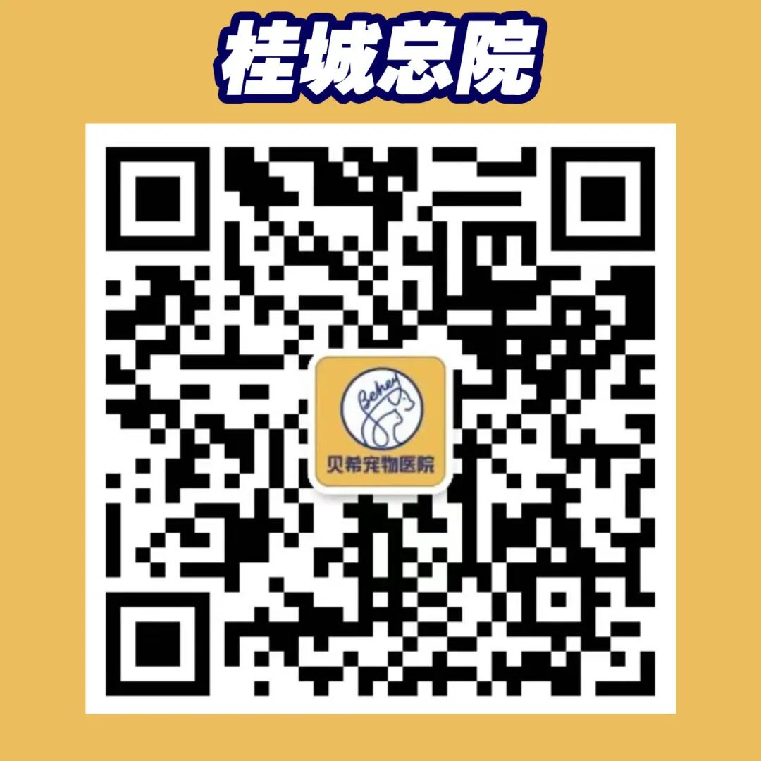 宠物呼吸麻醉怎么收费@宠爸宠妈，从绝育就做到极致…这家好评满满的de『五星级连锁宠物医院』来三水了！_https://www.jmylbn.com_新闻资讯_第12张