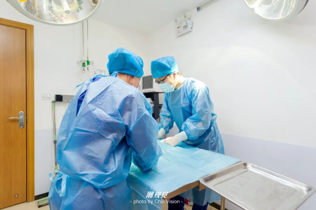 宠物呼吸麻醉怎么收费@宠爸宠妈，从绝育就做到极致…这家好评满满的de『五星级连锁宠物医院』来三水了！_https://www.jmylbn.com_新闻资讯_第7张