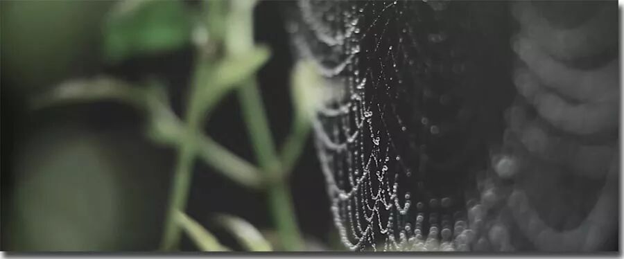 以美学的视角，论品茶的三种态度