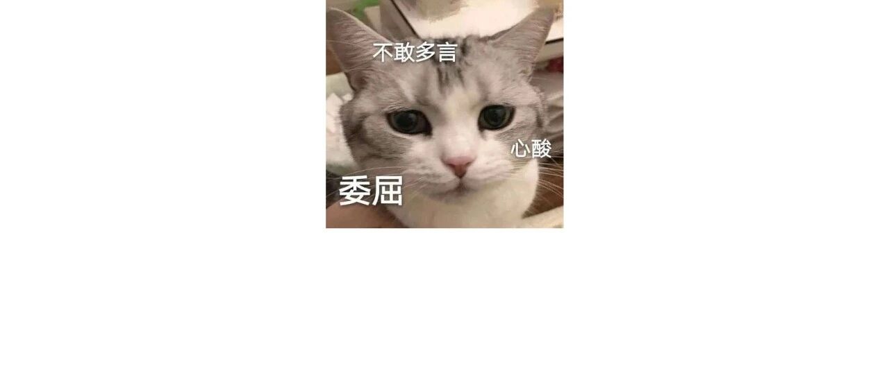 冲马桶时不慎将猫掉进去，猫逃出生天后在单位里狂奔