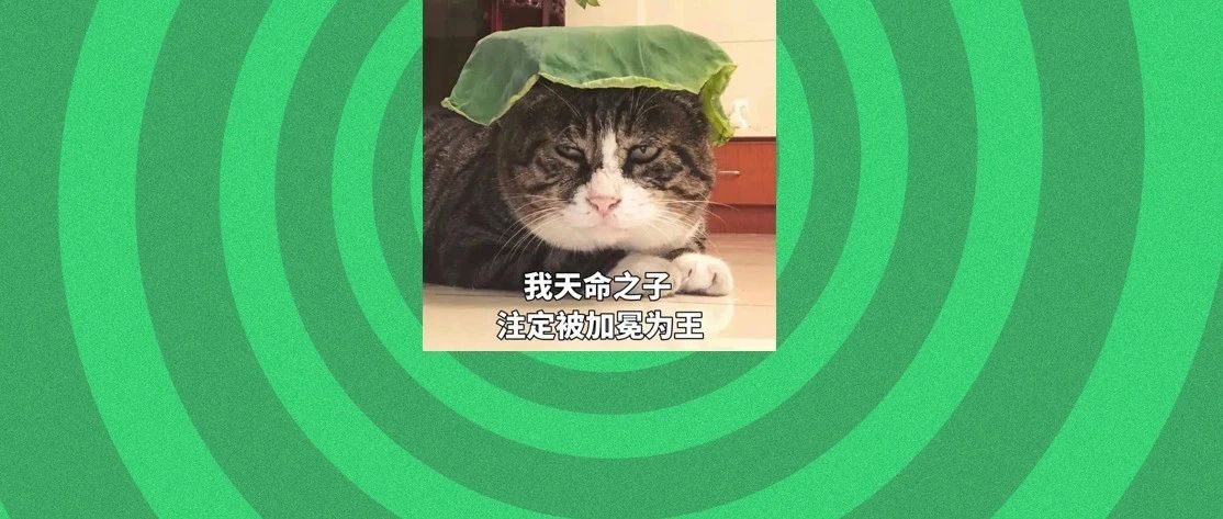 我妈给猫注册了微信，并拉入了家庭群