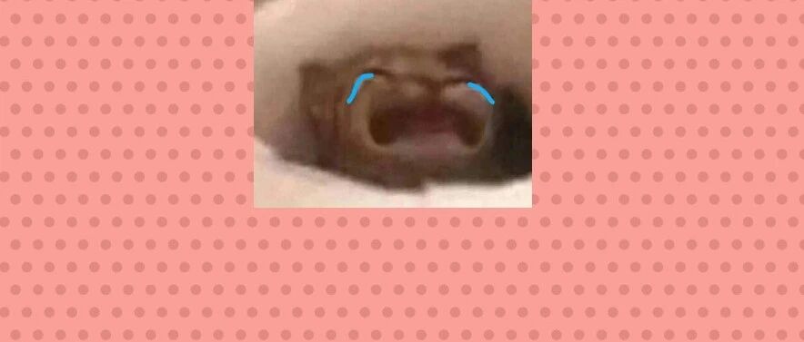 妈妈跟我说：“考研要多少钱，妈妈存了十万了，够不够”