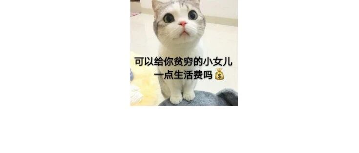 当卑微的我问我妈讨要生活费…