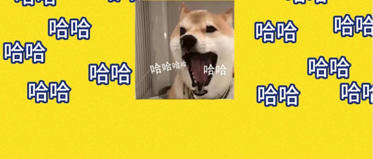 哈哈哈哈哈哈我笑到外星人来我家敲门要带我去做笑声穿透实验
